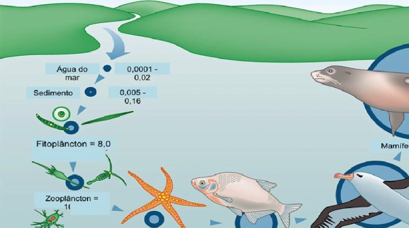 Resumo sobre magnificação trófica ou biomagnificação